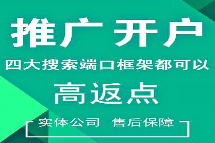 SEM主管案例分析：优化策略